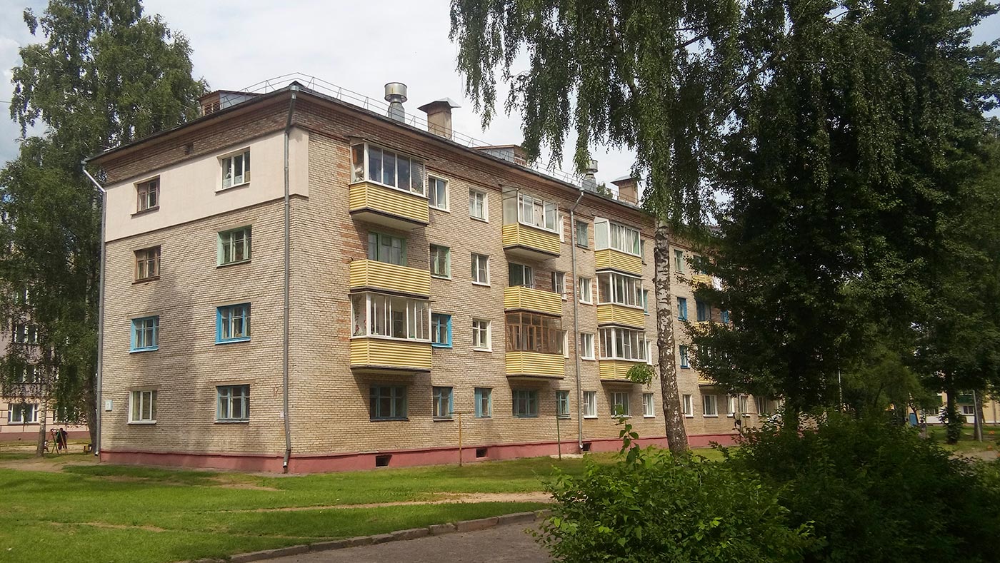 Новополоцк, Боровуха, Армейская улица, 17