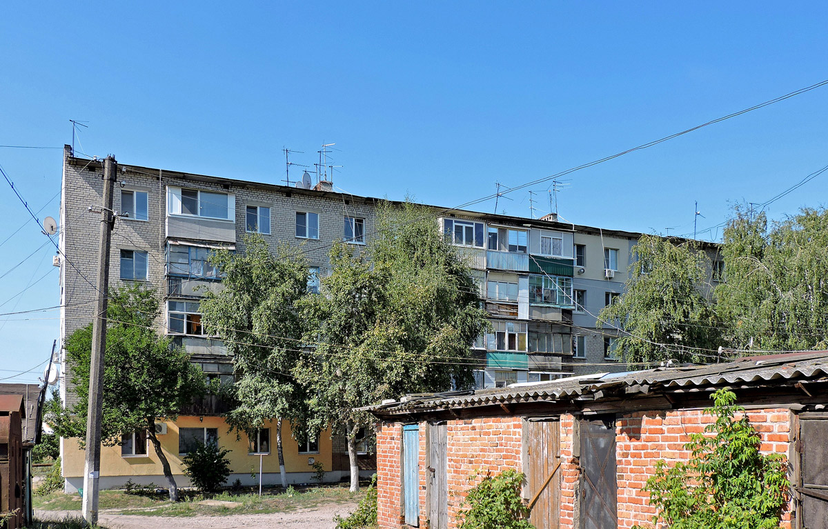 Васищево, Вишнёвая улица, 2А