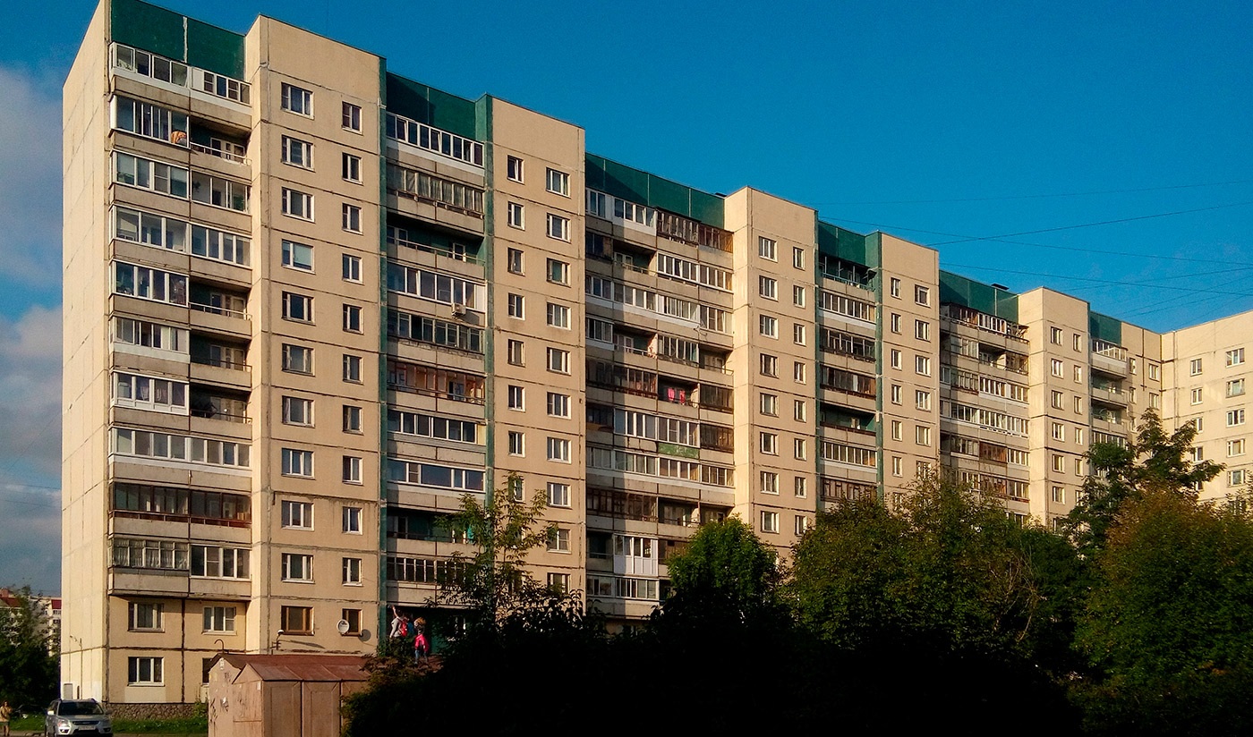 Колпино, Московская улица, 11