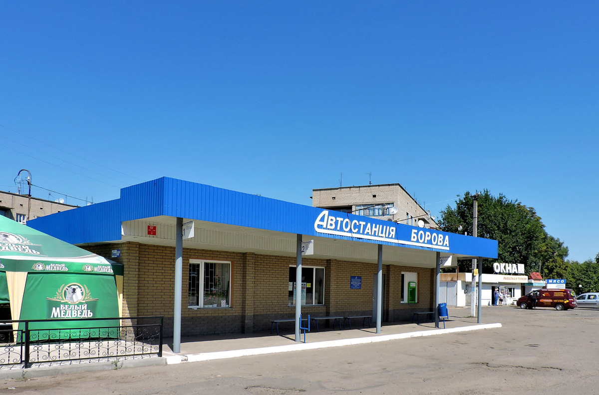 Боровая, Улица Мира, 44А