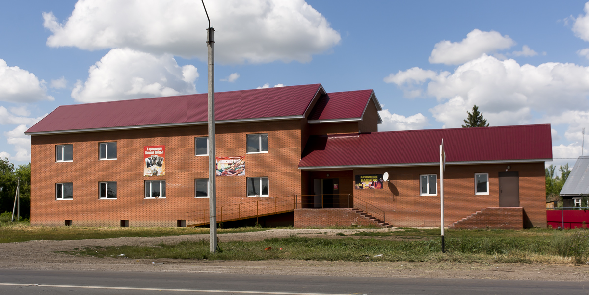 Кинель-Черкасский район, прочие н.п., с. Кротовка, Дорожная улица, 11