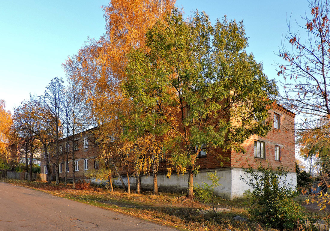 Харьковский район, прочие н.п., с. Перемога, Солнечная улица, 2
