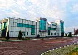 391 КБ