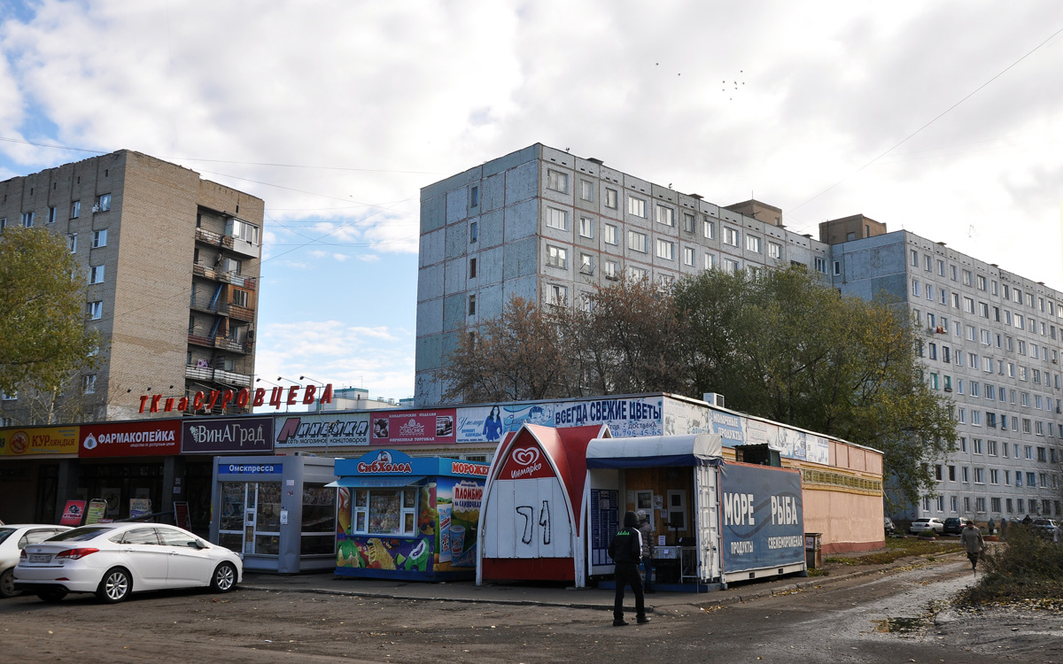 Omsk, Улица Суровцева, 102