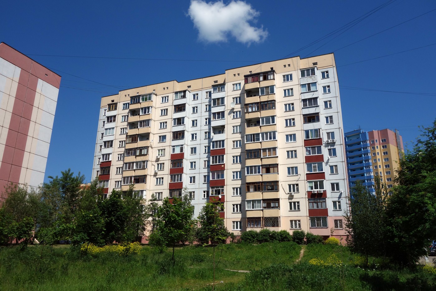 Смоленск, Улица Попова, 116