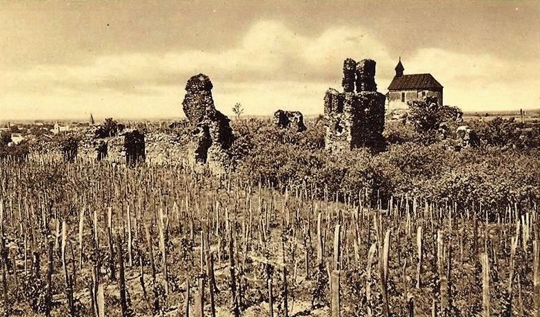Виноградов, Улица Коцюбинского, (?); Улица Коцюбинского, (?)