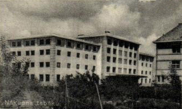 Виноградов, Улица Тюльпанов, 1; Улица Тюльпанов, 1