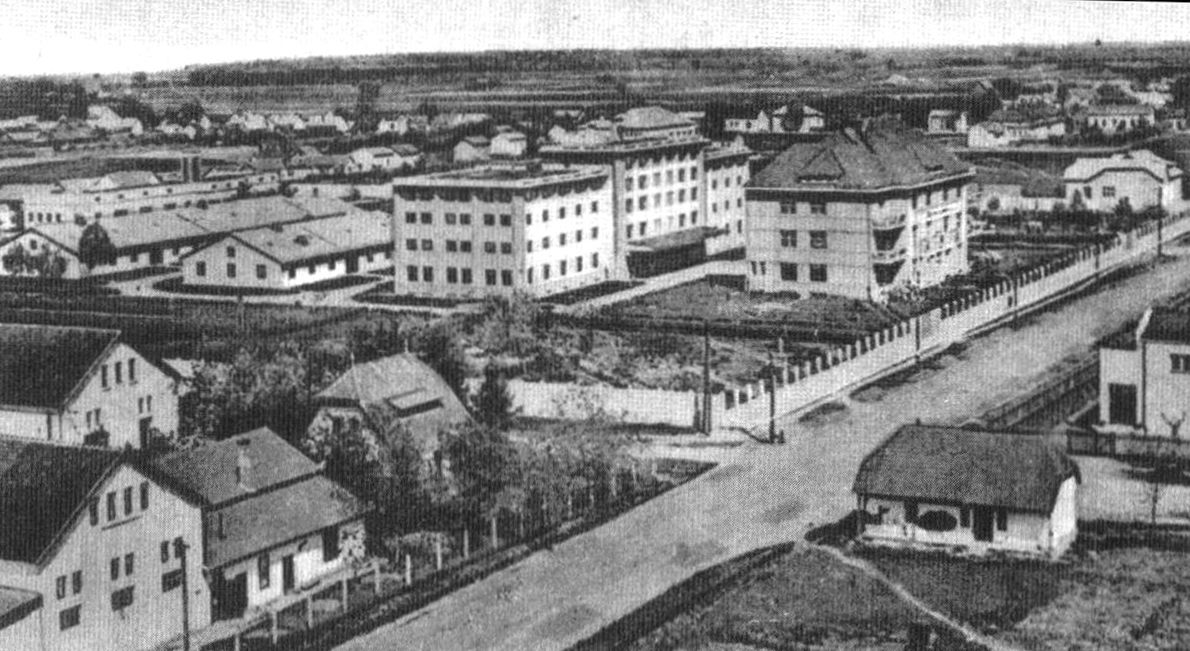 Виноградов, Улица Тюльпанов, 1; Улица Тюльпанов, 1; Улица Тюльпанов, 1; Улица Тюльпанов, 1; Улица Лейзмана, 2; Улица Лейзмана, 4; Улица Тюльпанов, 2