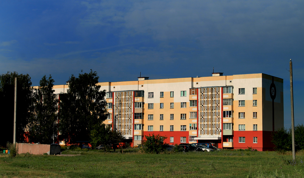 Брагин, Аэродромная улица, 24