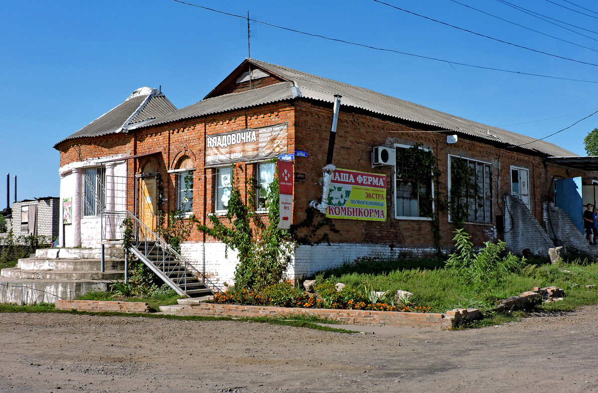 Новопокровка, Центральная улица, 96