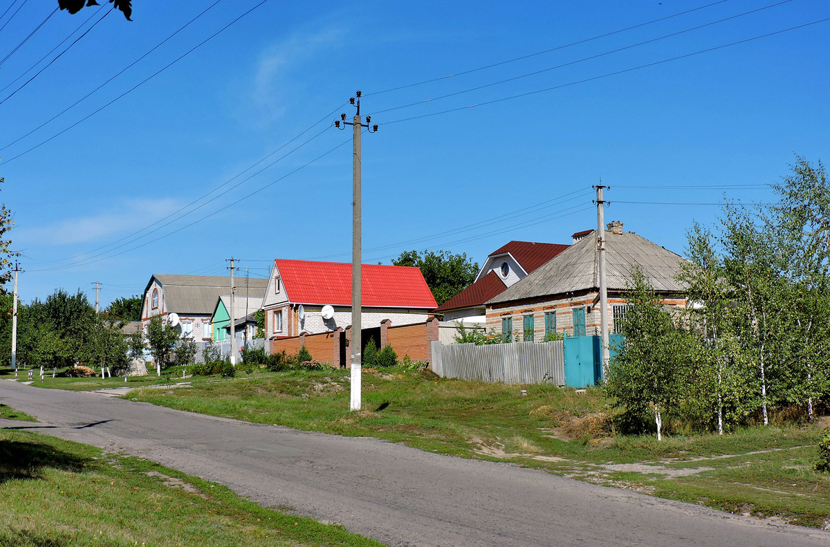 Новопокровка, Дворянская улица, 6; Дворянская улица, 10; Дворянская улица, 14