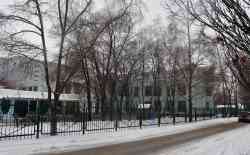 393 КБ
