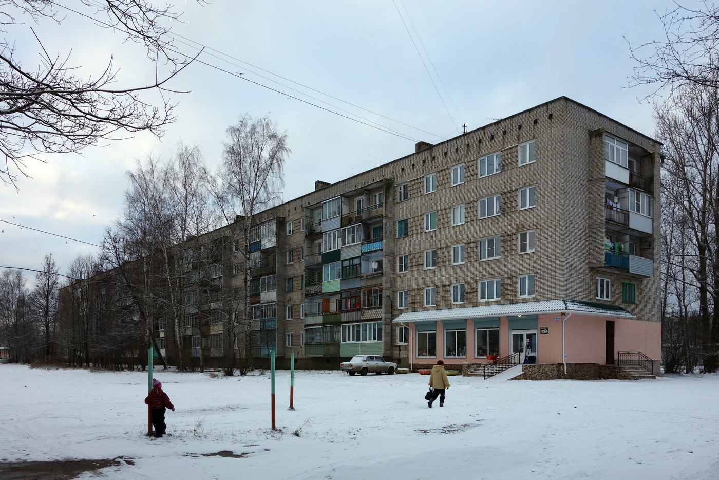 Боровичи, Сушанская улица, 10