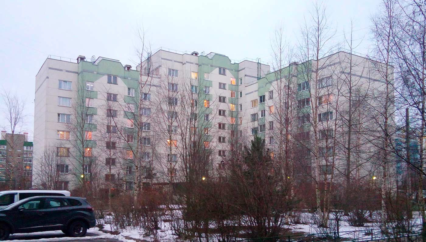 Всеволожск, Невская улица, 11
