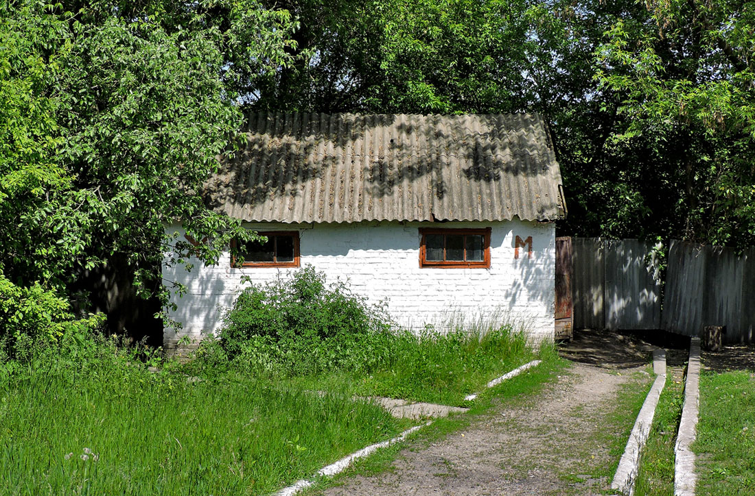 Нововодолажский район, прочие н.п., с. Ракитное, Центральная улица, 44