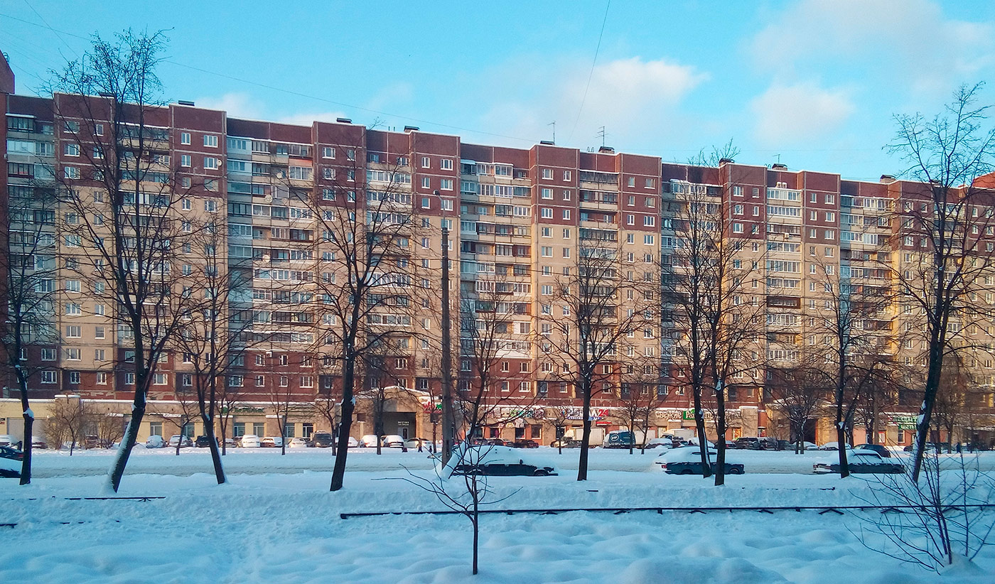 Санкт-Петербург, Улица Коллонтай, 24 корп. 2