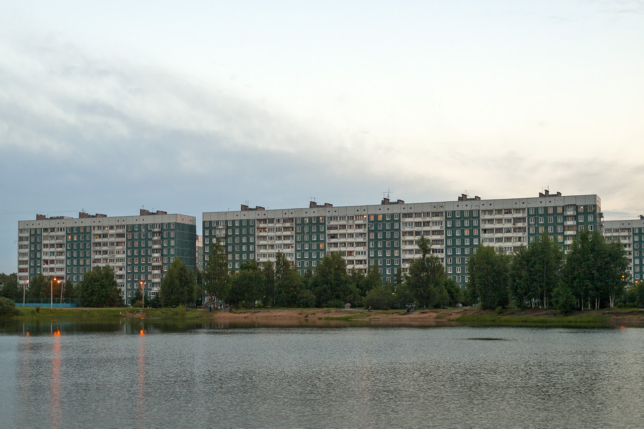 Новое Девяткино, Лесная улица, 6; Лесная улица, 4