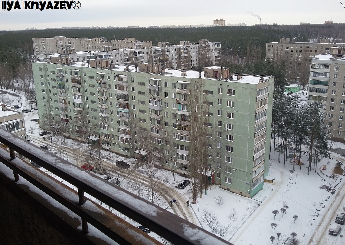 Воронеж, Улица 232 Стрелковой Дивизии, 43