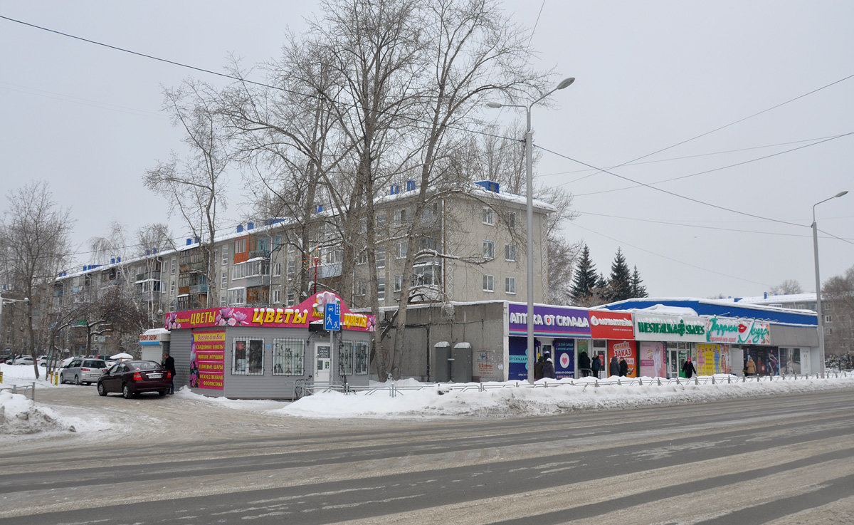 Омск, 24-я Северная улица, 212