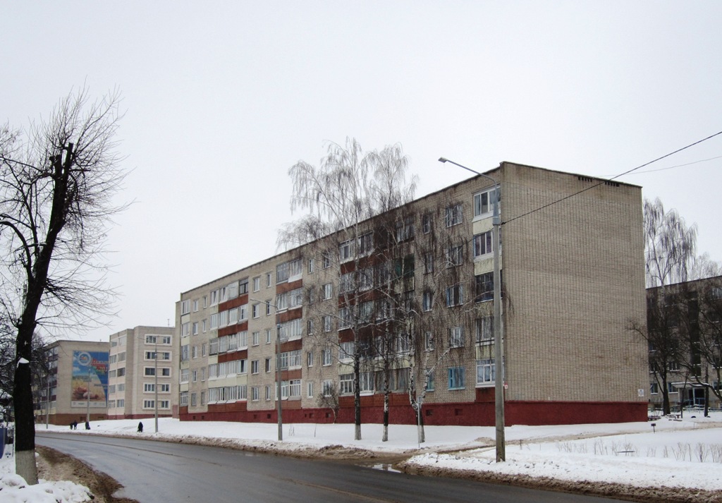 Рогачёв, Улица Владимира Ленина, 105