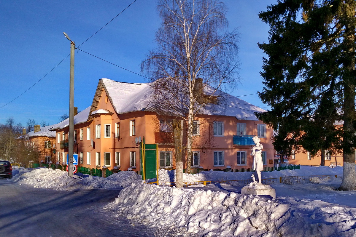 Переславский район, прочие н.п., пос. Ивановское, улица Ленина, 8