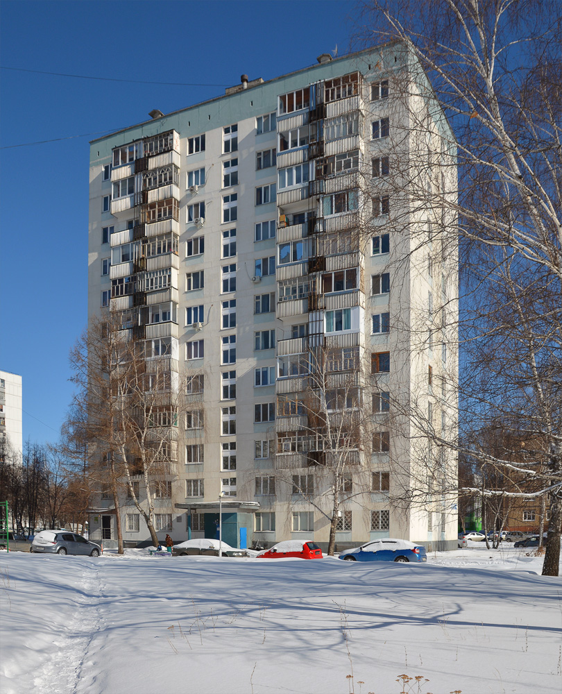 Набережные Челны, Московский проспект, 103
