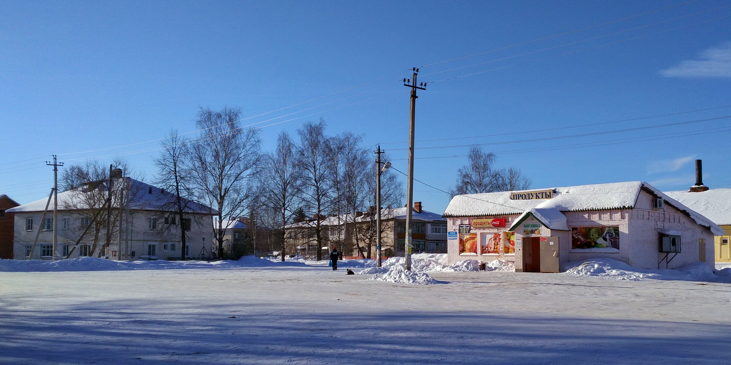 Переславский район, прочие н.п., с. Купанское (Усолье), Советская улица, 12; с. Купанское (Усолье), Советская улица, 10; с. Купанское (Усолье), Советская улица, 34