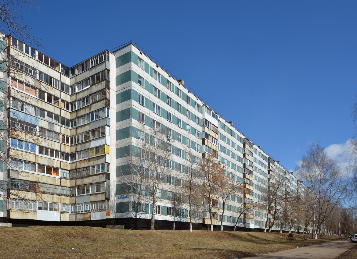 Набережные Челны, Московский проспект, 89