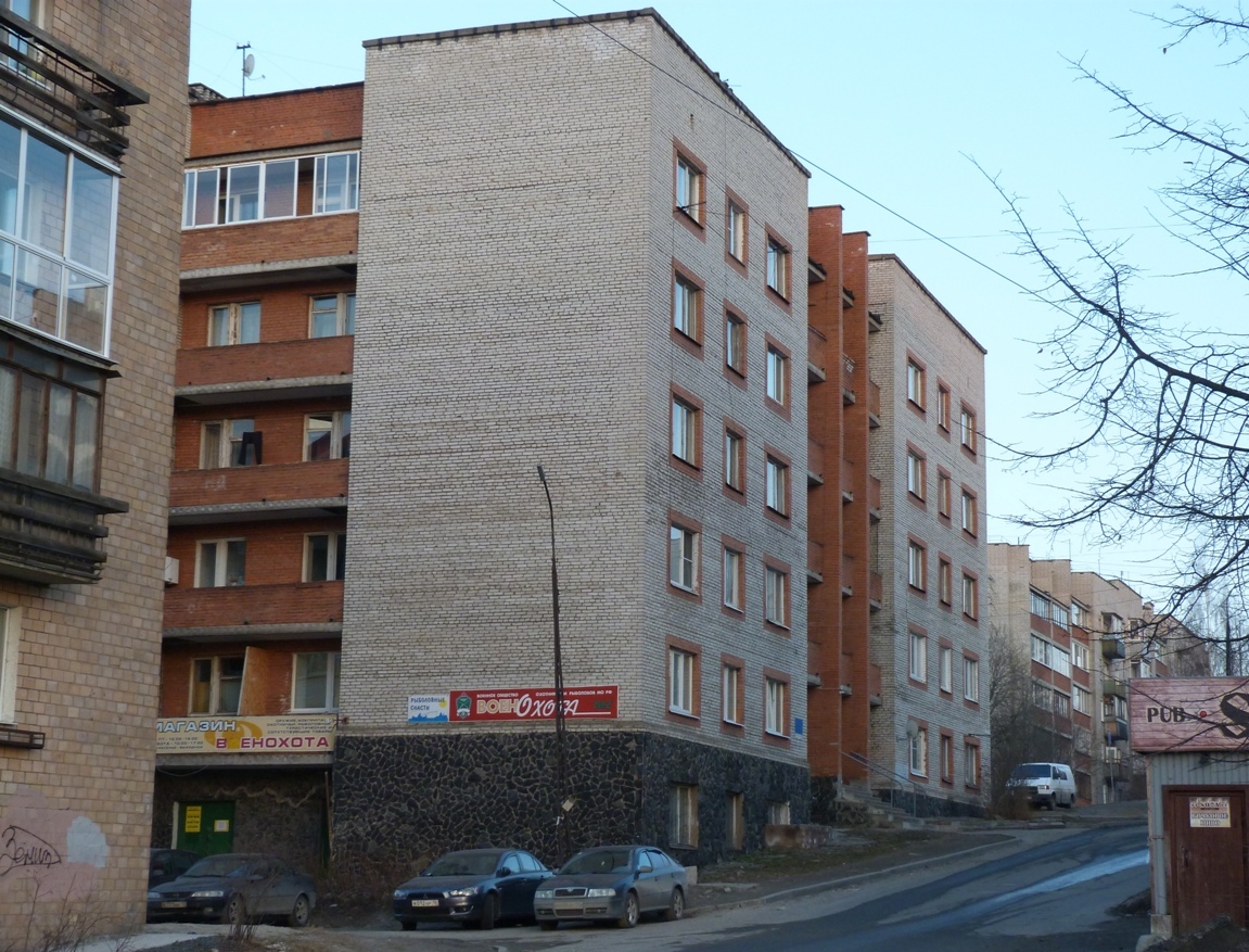 Петрозаводск, Лесная улица, 3