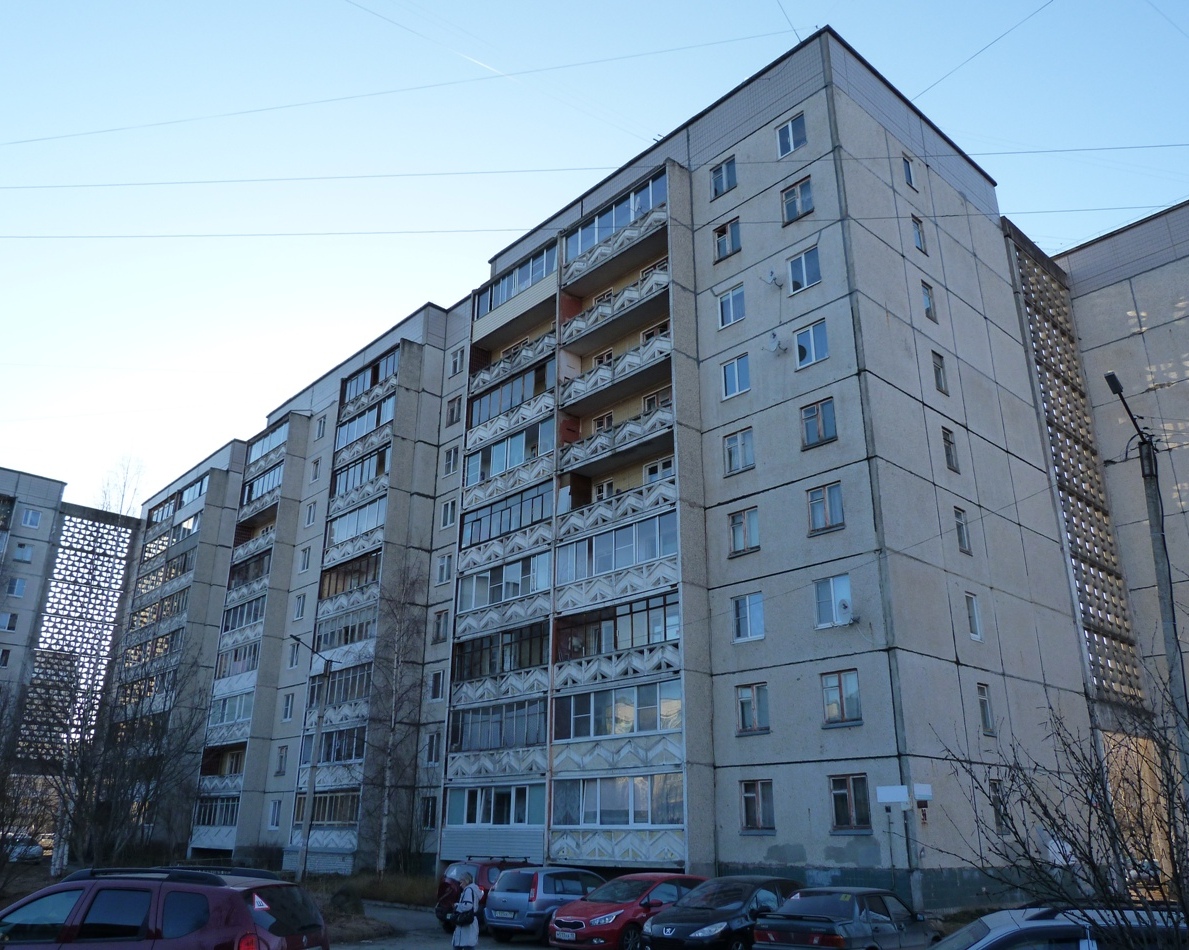 Петрозаводск, Улица Берёзовая Аллея, 33