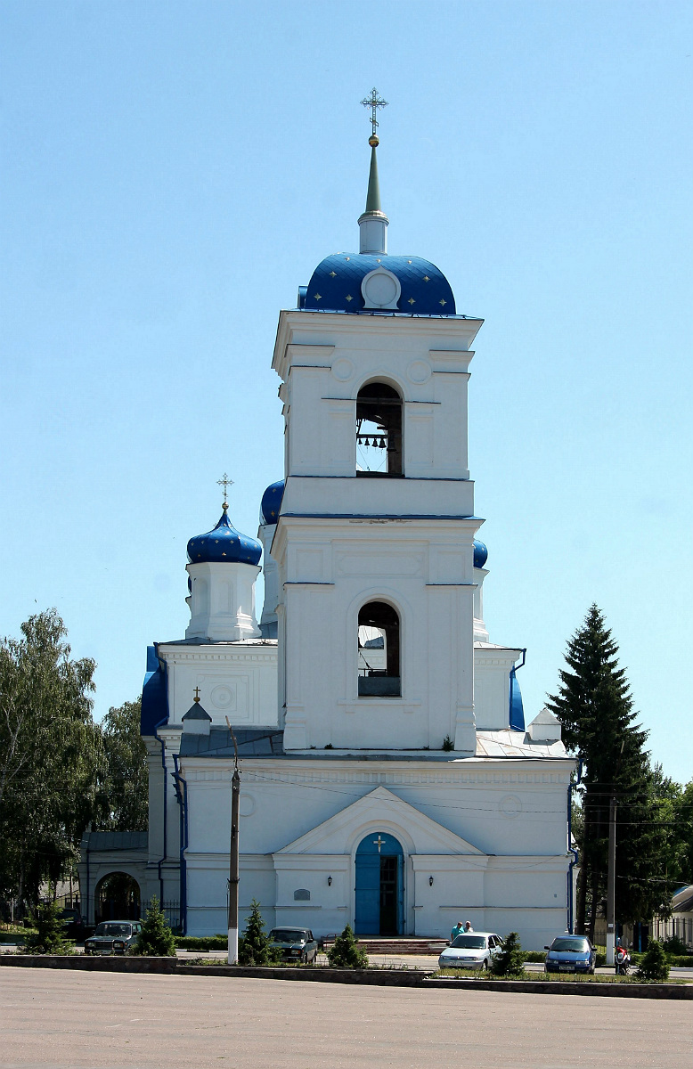 Репьёвский район, прочие н.п., С. Репьёвка, Воронежская улица, 22А