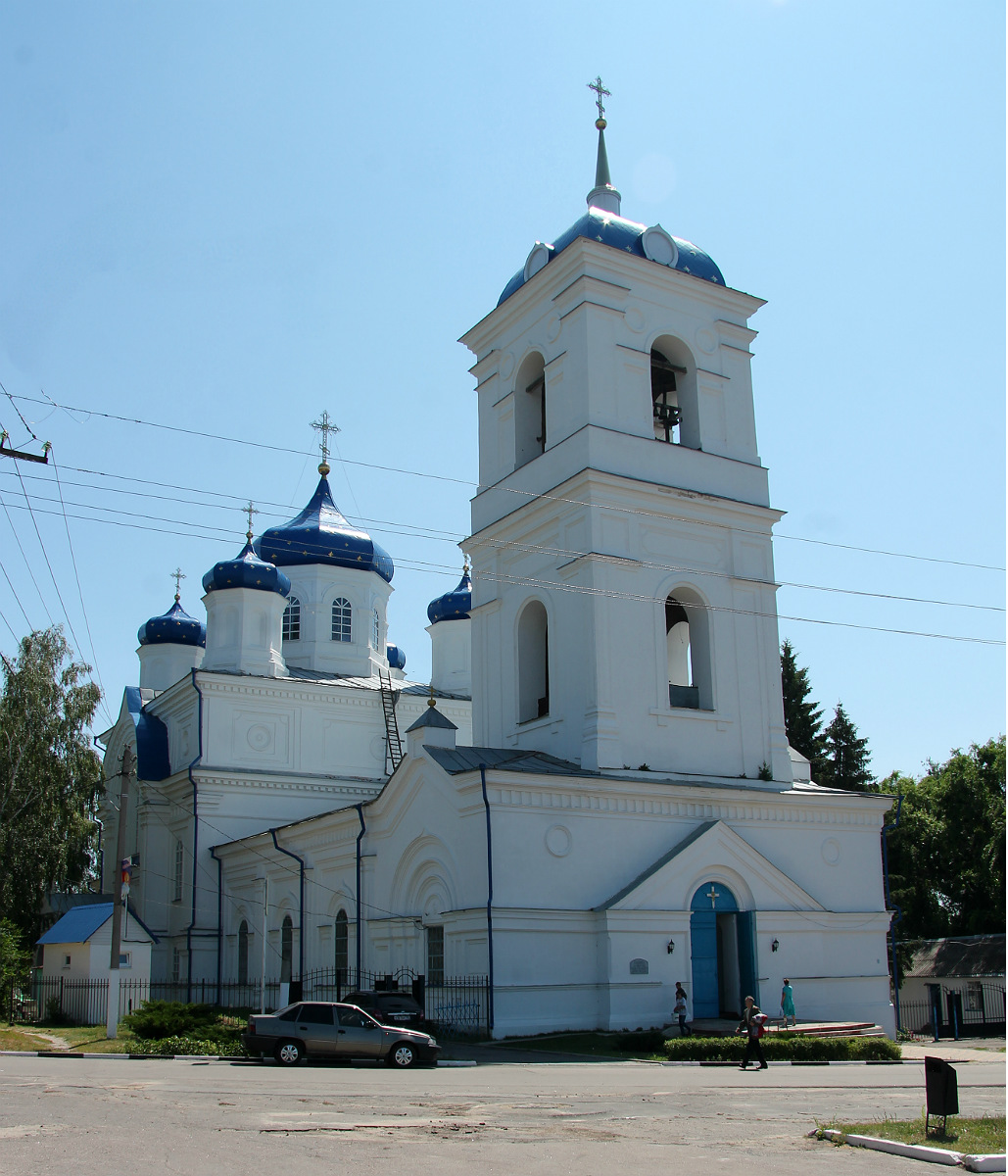 Репьёвский район, прочие н.п., С. Репьёвка, Воронежская улица, 22А