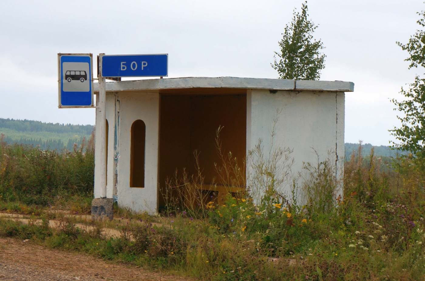 Ильинский городской округ, прочие н.п., д. Бор, Трактовая улица, (?)