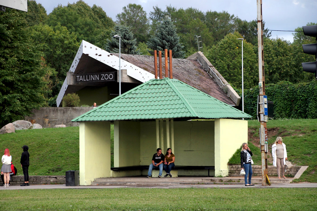 Таллин, Katusealune