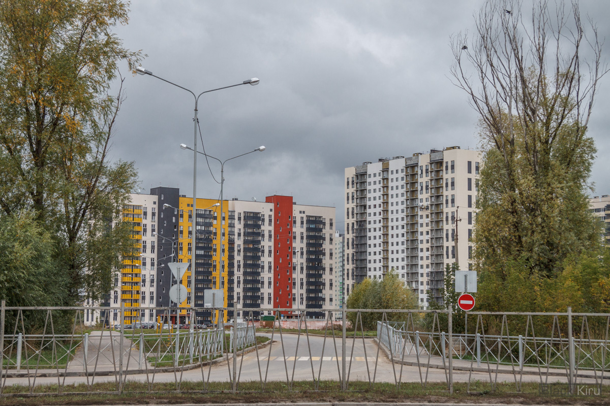 Казань, Улица Александра Курынова, 6 корп. 2; Улица Александра Курынова, 6 корп. 1