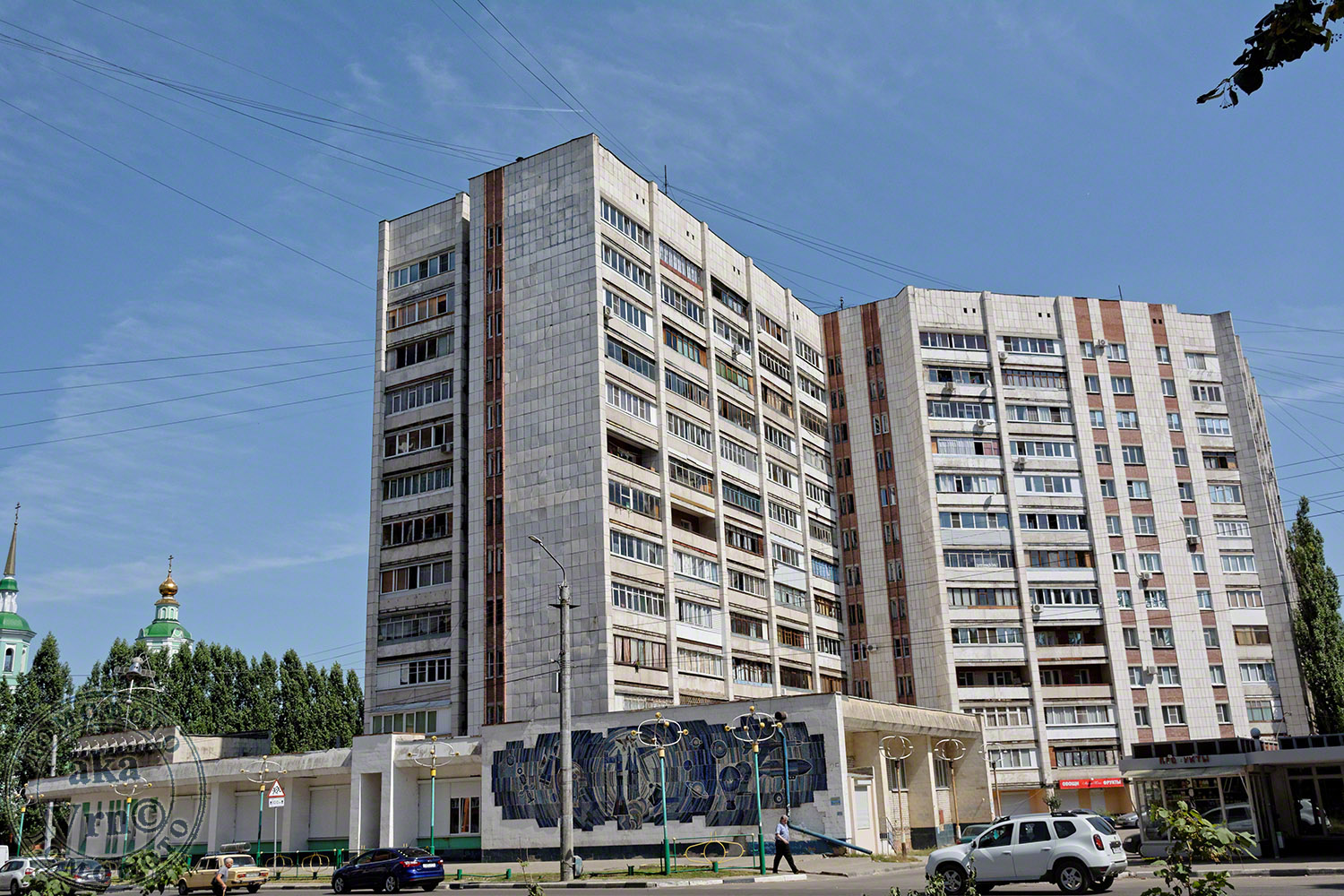Воронеж, Улица Олеко Дундича, 25