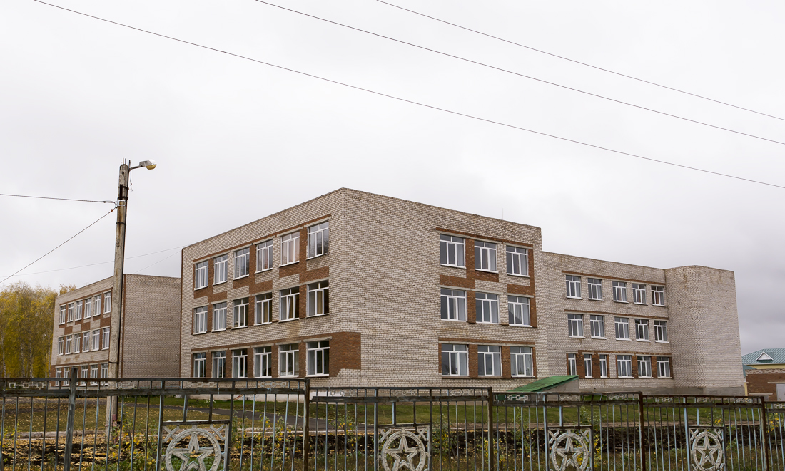 Благоварский район, прочие н.п., с. Языково, улица Победы, 12