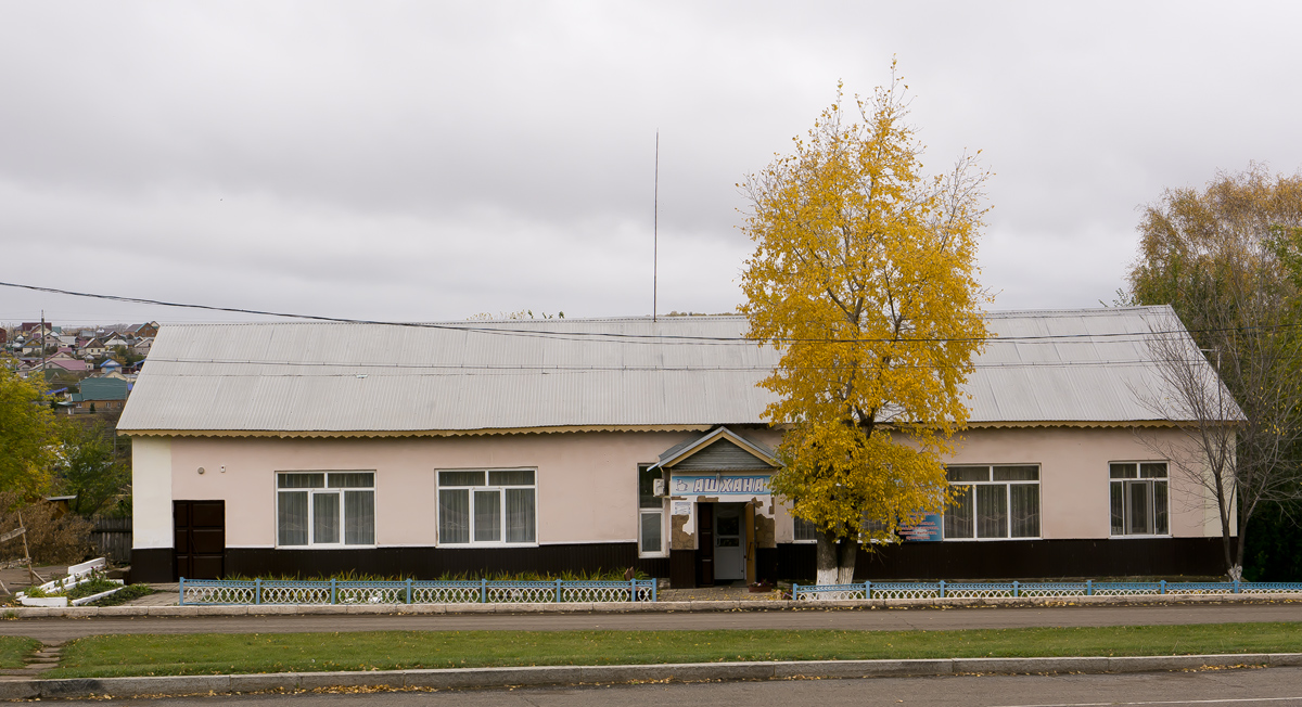 Благоварский район, прочие н.п., с. Языково, улица Ленина, 8