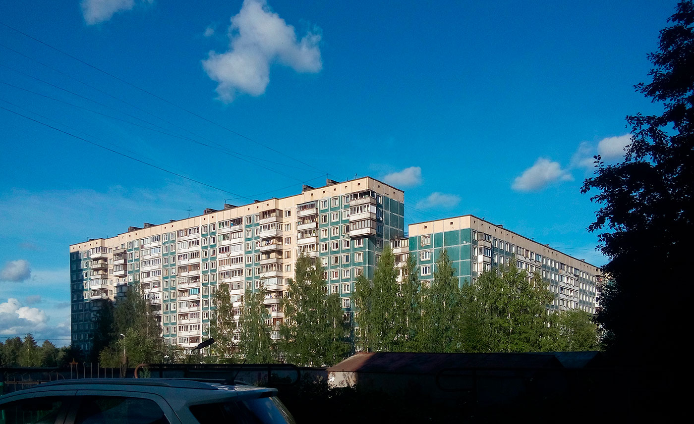 Новое Девяткино, Новое Девяткино, 94; Новое Девяткино, 95