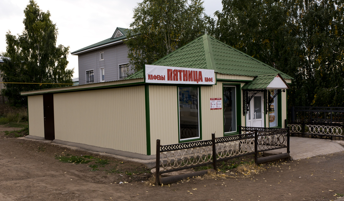 Благоварский район, прочие н.п., с. Языково, улица Пушкина, 17А