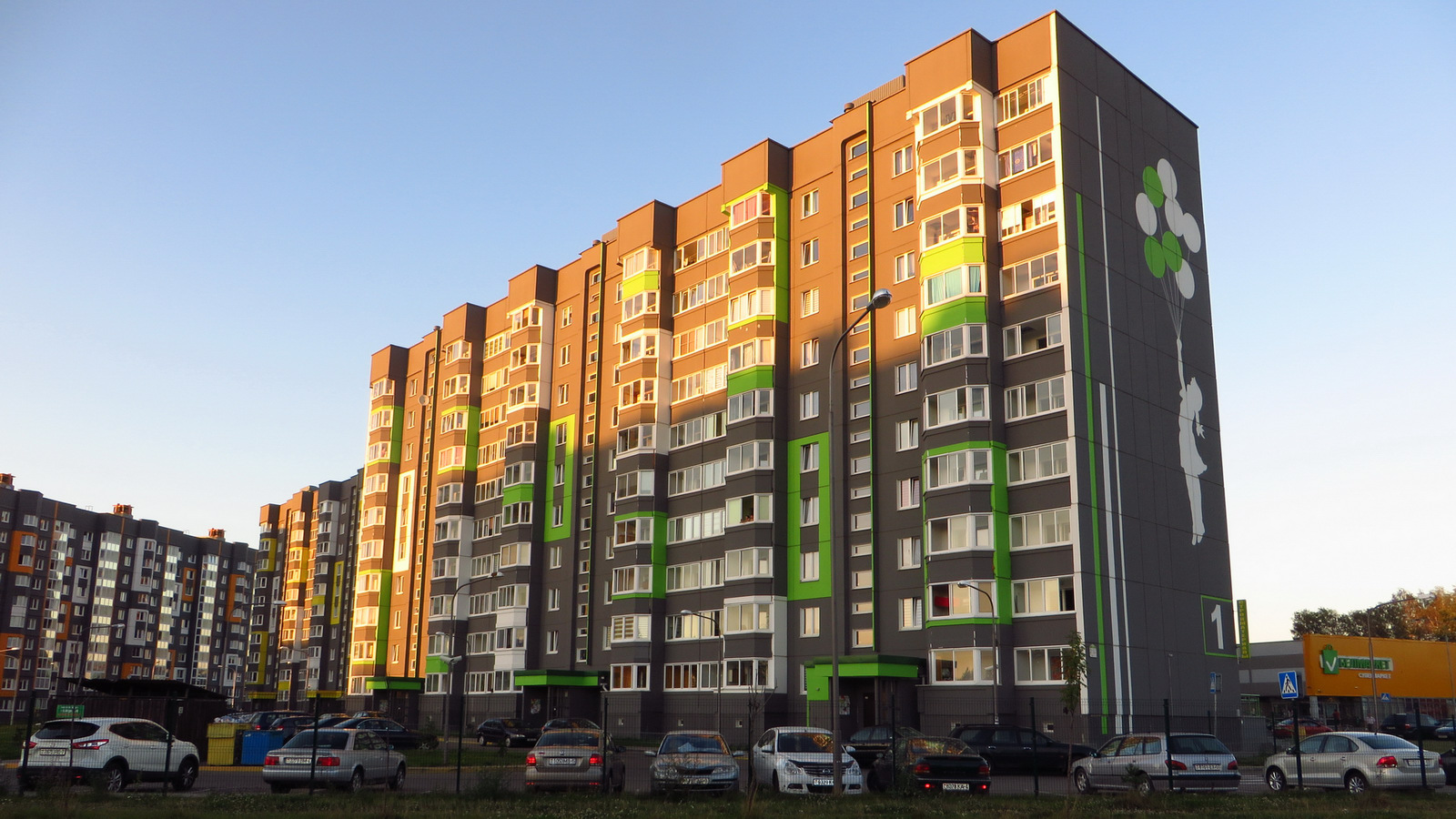Сеница, Зелёная улица, 1