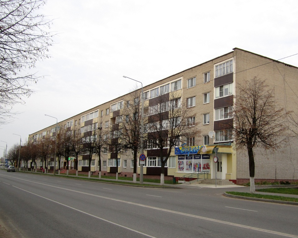 Рогачёв, Улица Ленина, 67