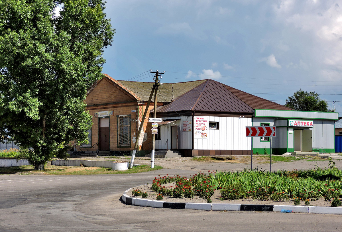 Васильевский район, прочие н.п., с. Балки, Улица Мира, 117