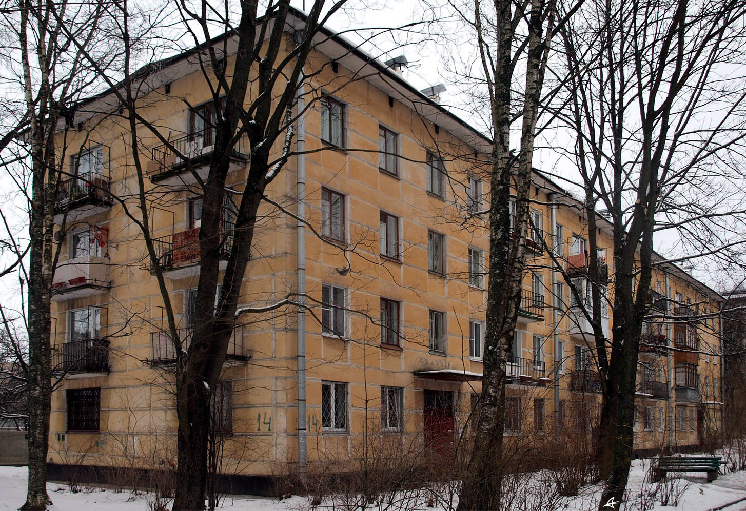Красное Село, Улица Лермонтова, 14