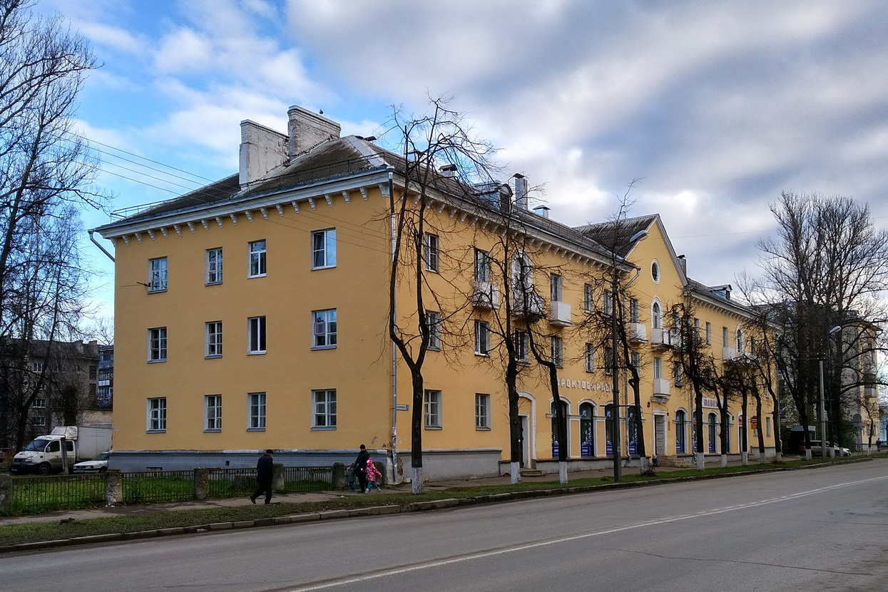 Псков, Улица Яна Фабрициуса, 28