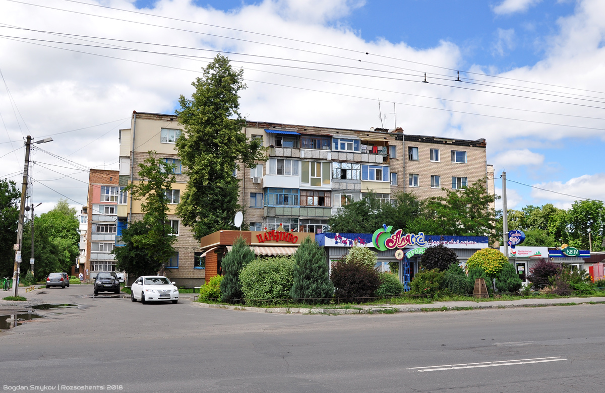 Полтавский район, прочие н.п., С. Рассошенцы, Кременчугская улица, 8