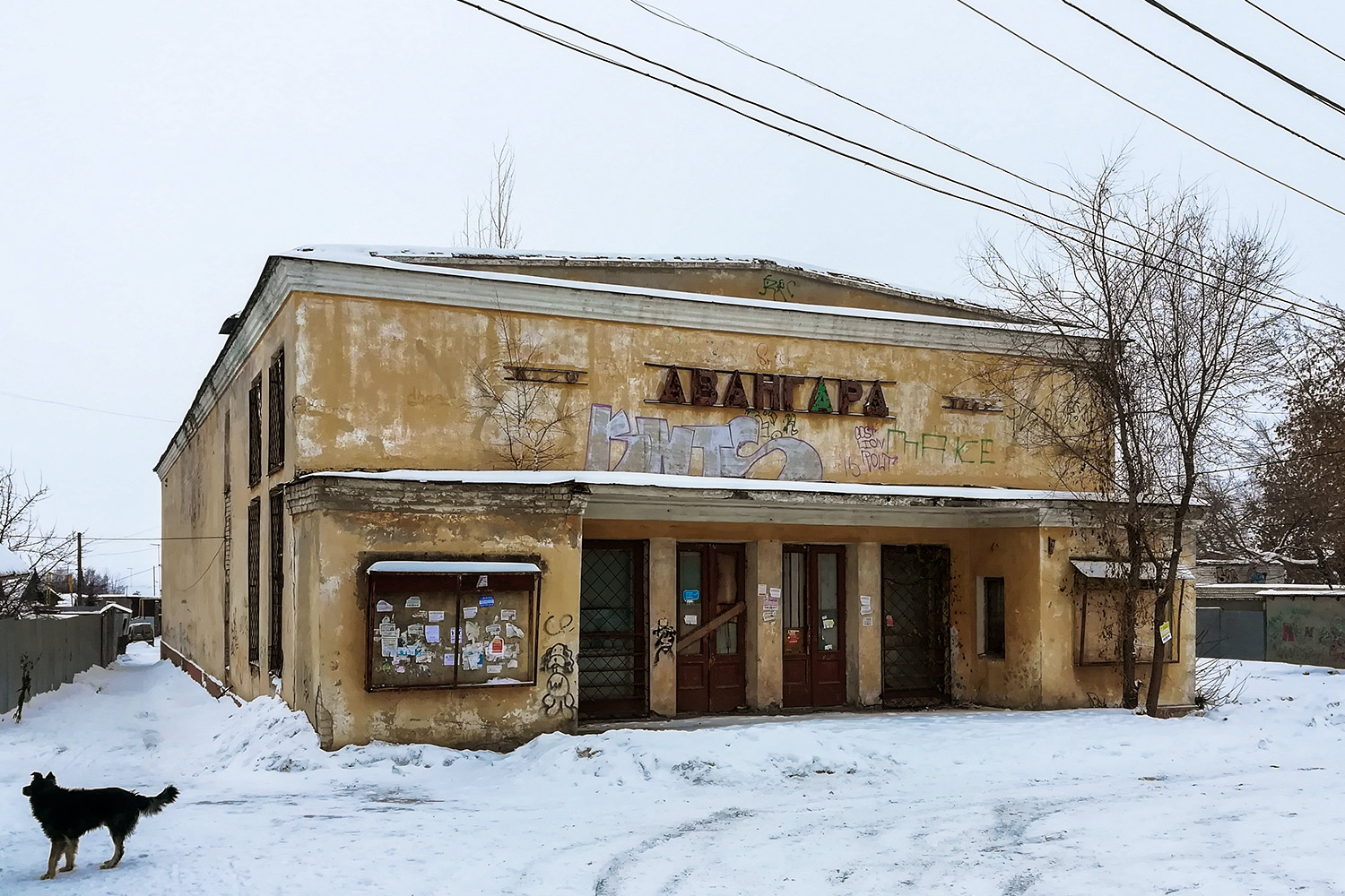 Самара, Улица Неверова, 95