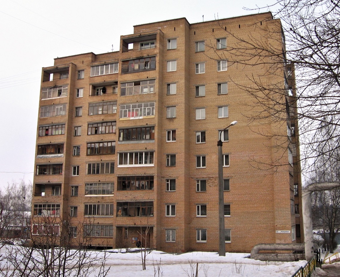 Долгопрудный, Молодежная улица, 22