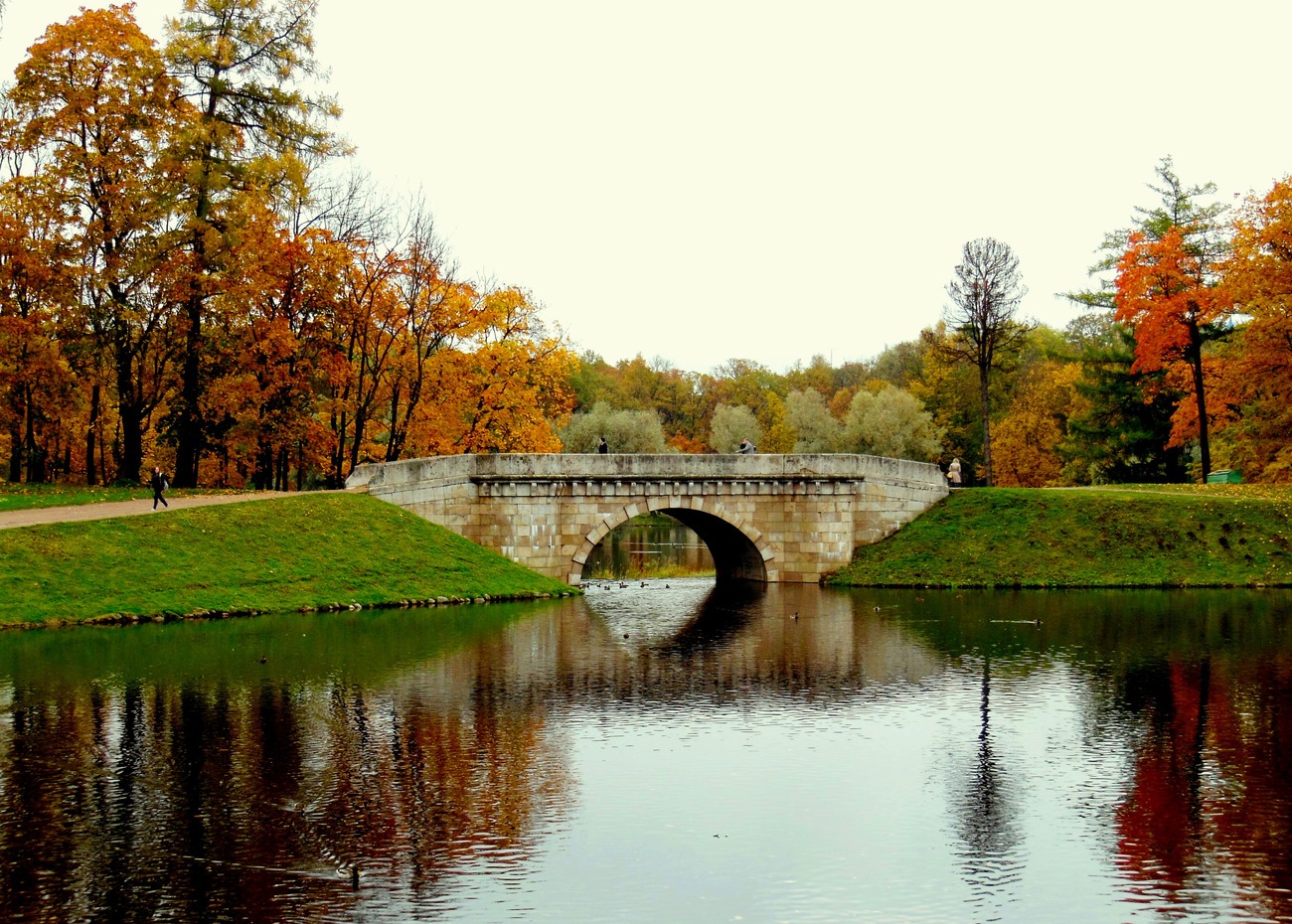 Гатчина, Дворцовый парк, Карпин мост