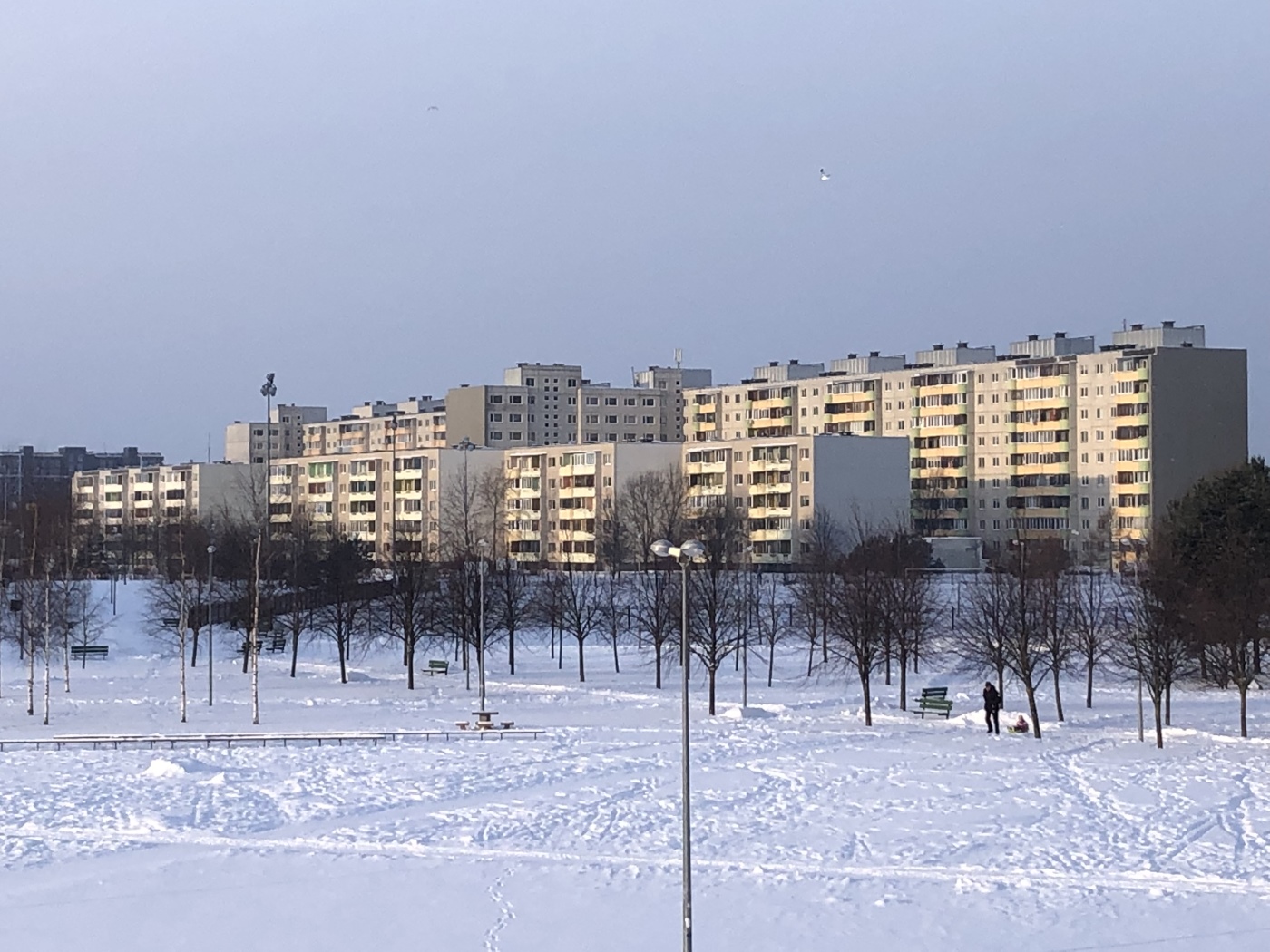 Таллин, Muhu, 10; Muhu, 5